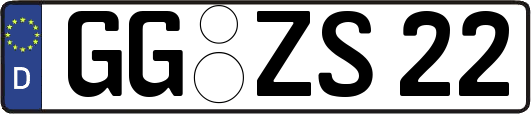 GG-ZS22