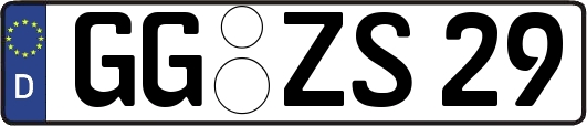 GG-ZS29
