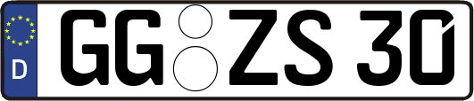GG-ZS30