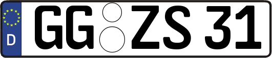 GG-ZS31