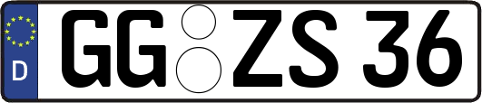 GG-ZS36
