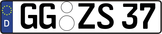 GG-ZS37