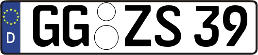 GG-ZS39