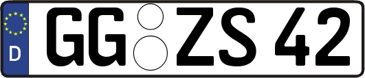 GG-ZS42