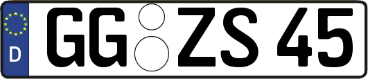 GG-ZS45