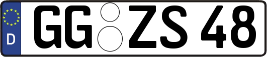 GG-ZS48