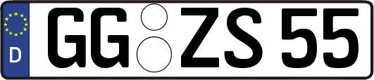 GG-ZS55