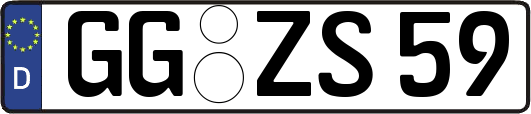 GG-ZS59