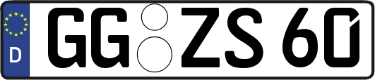 GG-ZS60