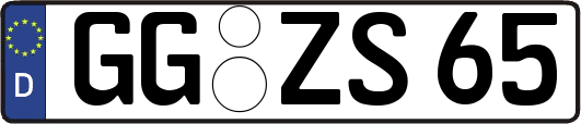 GG-ZS65