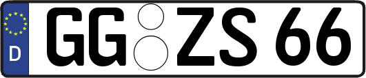 GG-ZS66