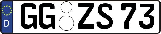 GG-ZS73