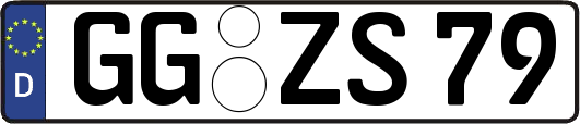 GG-ZS79