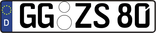 GG-ZS80