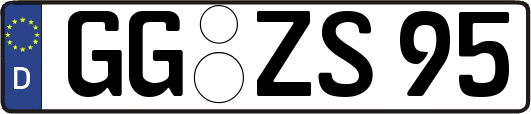 GG-ZS95