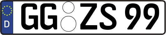 GG-ZS99