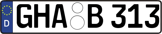 GHA-B313