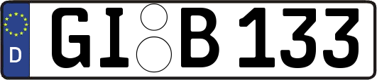GI-B133