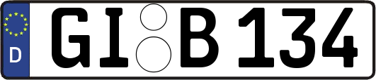 GI-B134