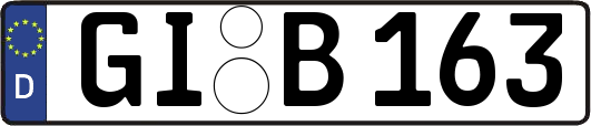 GI-B163