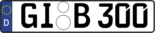 GI-B300
