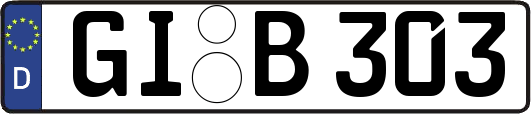 GI-B303