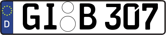 GI-B307