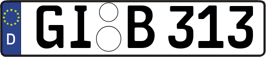 GI-B313