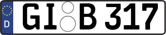 GI-B317