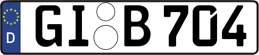 GI-B704