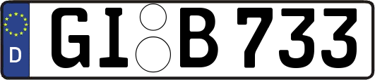 GI-B733