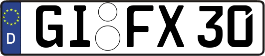 GI-FX30