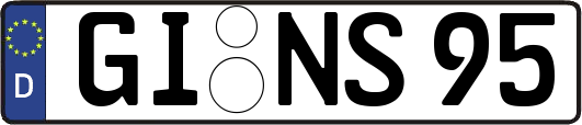 GI-NS95