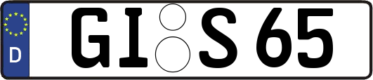GI-S65
