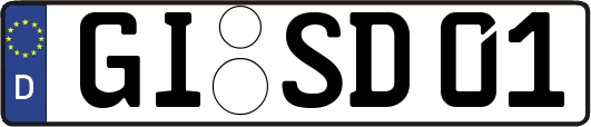 GI-SD01