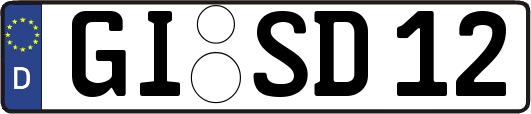 GI-SD12