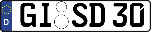 GI-SD30