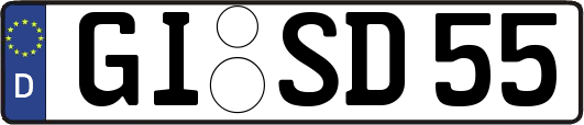 GI-SD55