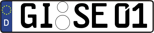 GI-SE01