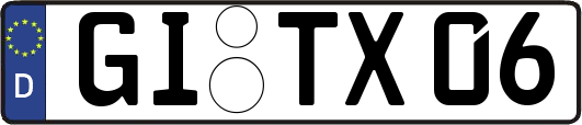GI-TX06