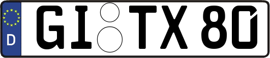GI-TX80