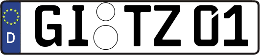 GI-TZ01