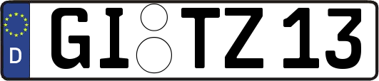 GI-TZ13
