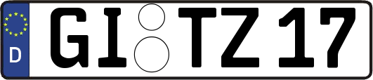 GI-TZ17