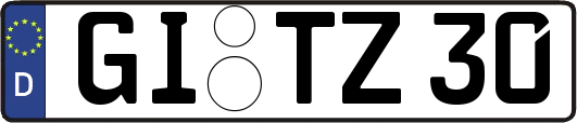 GI-TZ30