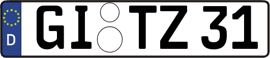GI-TZ31