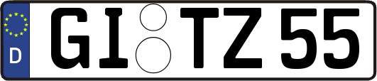 GI-TZ55
