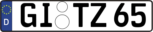 GI-TZ65