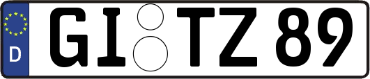 GI-TZ89