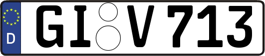GI-V713